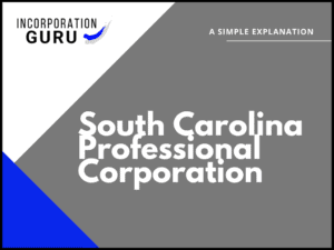How to Form a South Carolina Professional Corporation (2022)