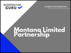 How to Form a Montana Limited Partnership (2022)