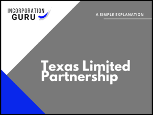 How to Form a Texas Limited Partnership (2022)